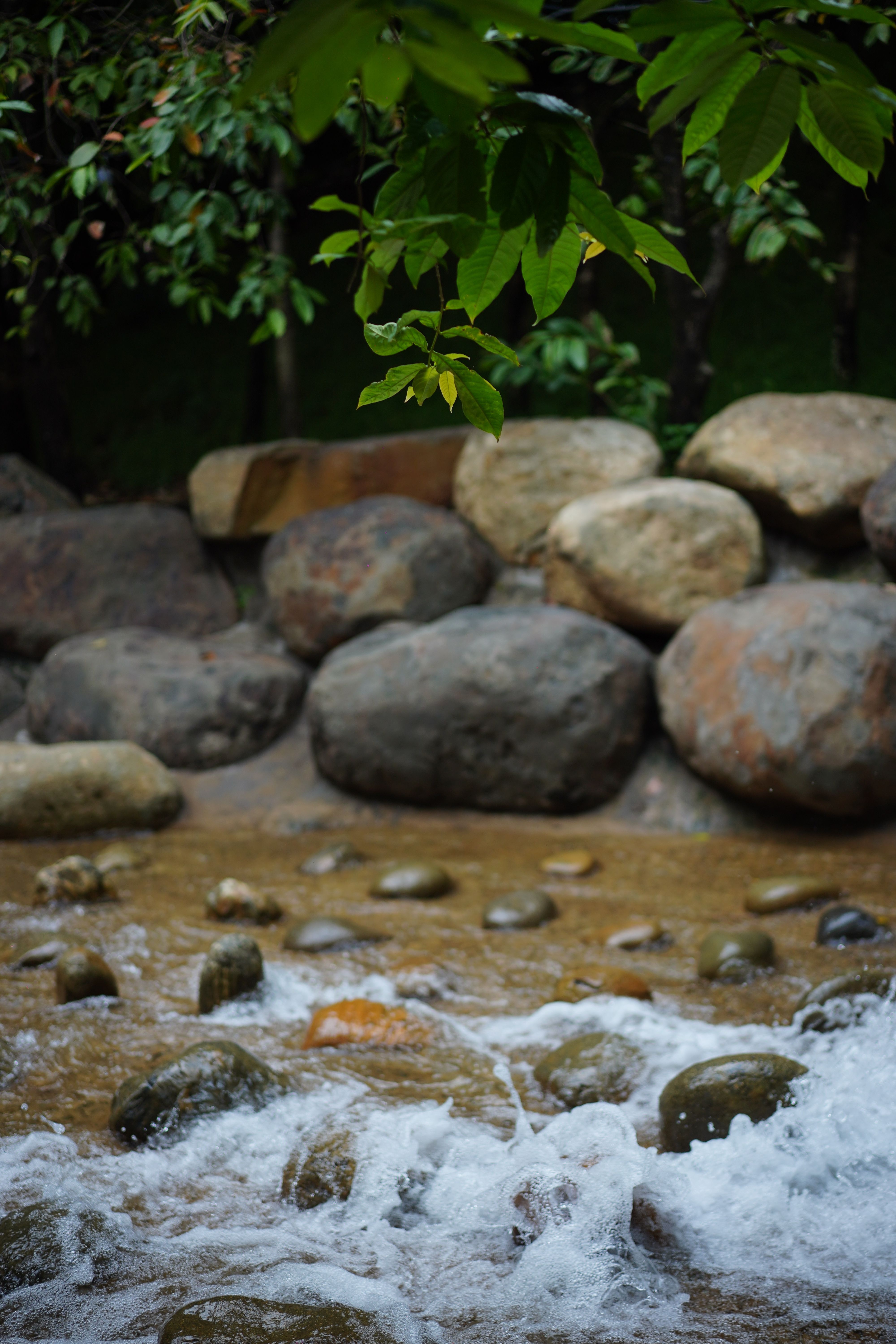 Serene Mountain Stream with Smooth Rocks · Free Stock Photo