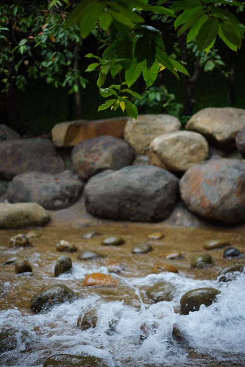 Smooth Stream Rocks Serene Mountain Stream with Smooth Rocks · Free Stock Photo