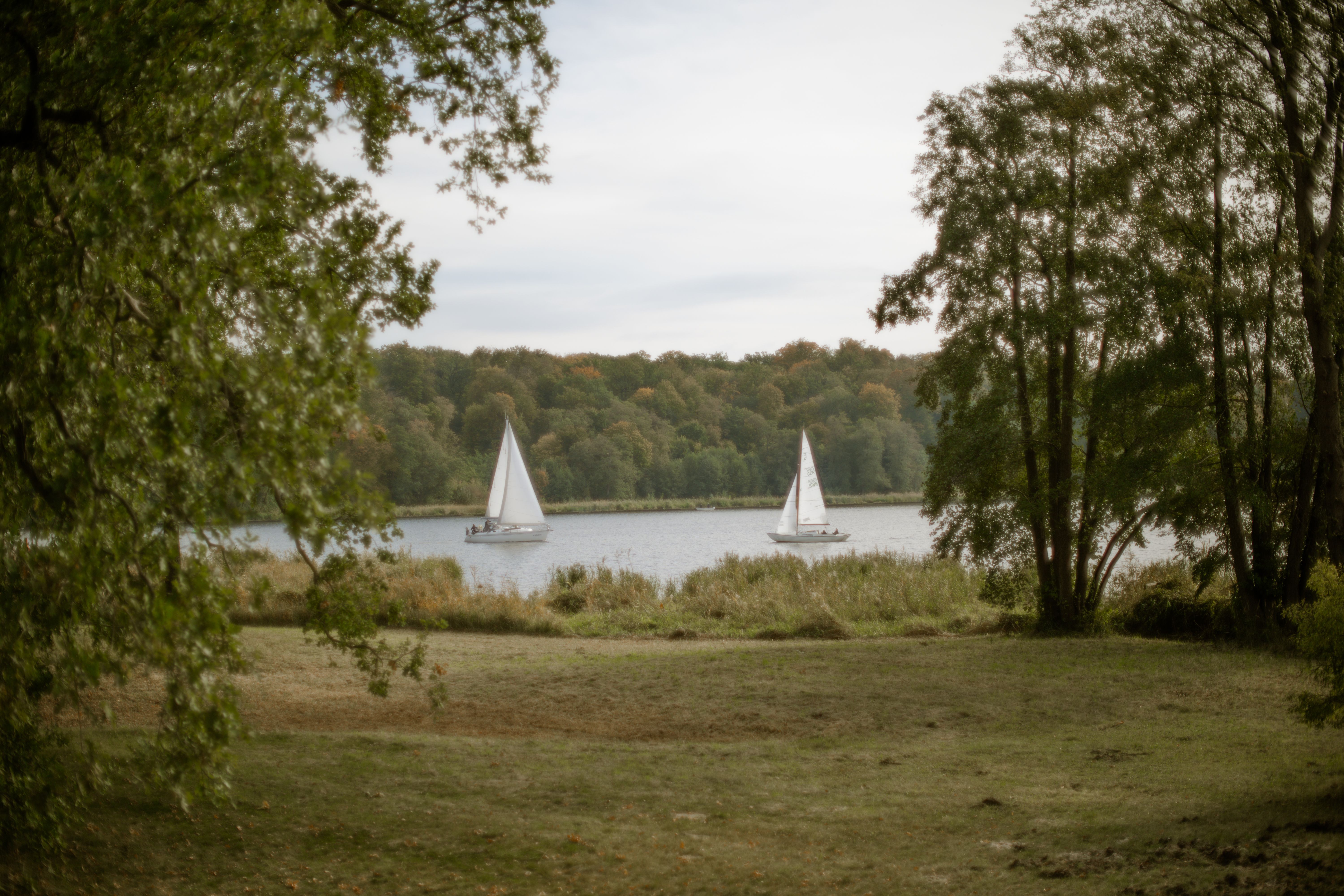 A serene lake scene in the Palatine Hills Forest Preserve