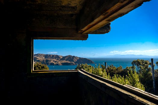 Wellington, New Zealand photo 5