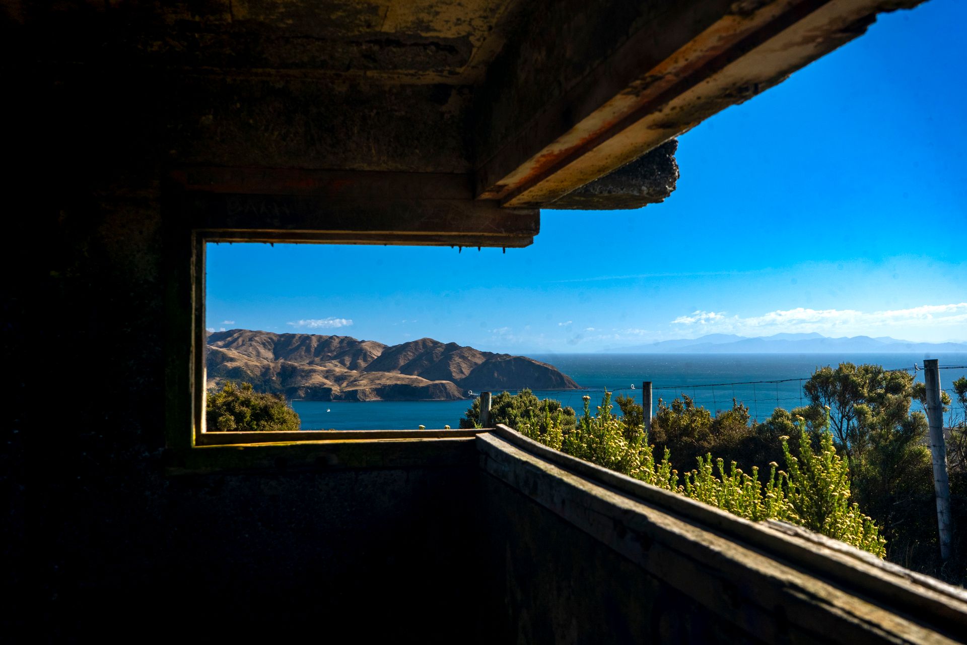 Le port de Wellington et la silhouette de la ville en plein jour