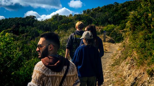 Free A group enjoying a scenic hike through lush trails in Wellington, New Zealand. Stock Photo