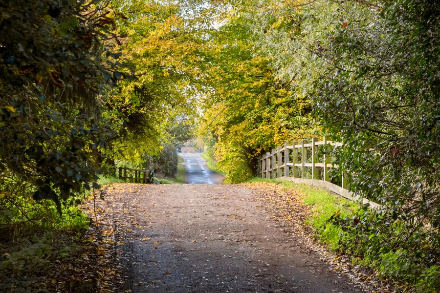 A picturesque country road lined with vibrant autumn foliage in England.