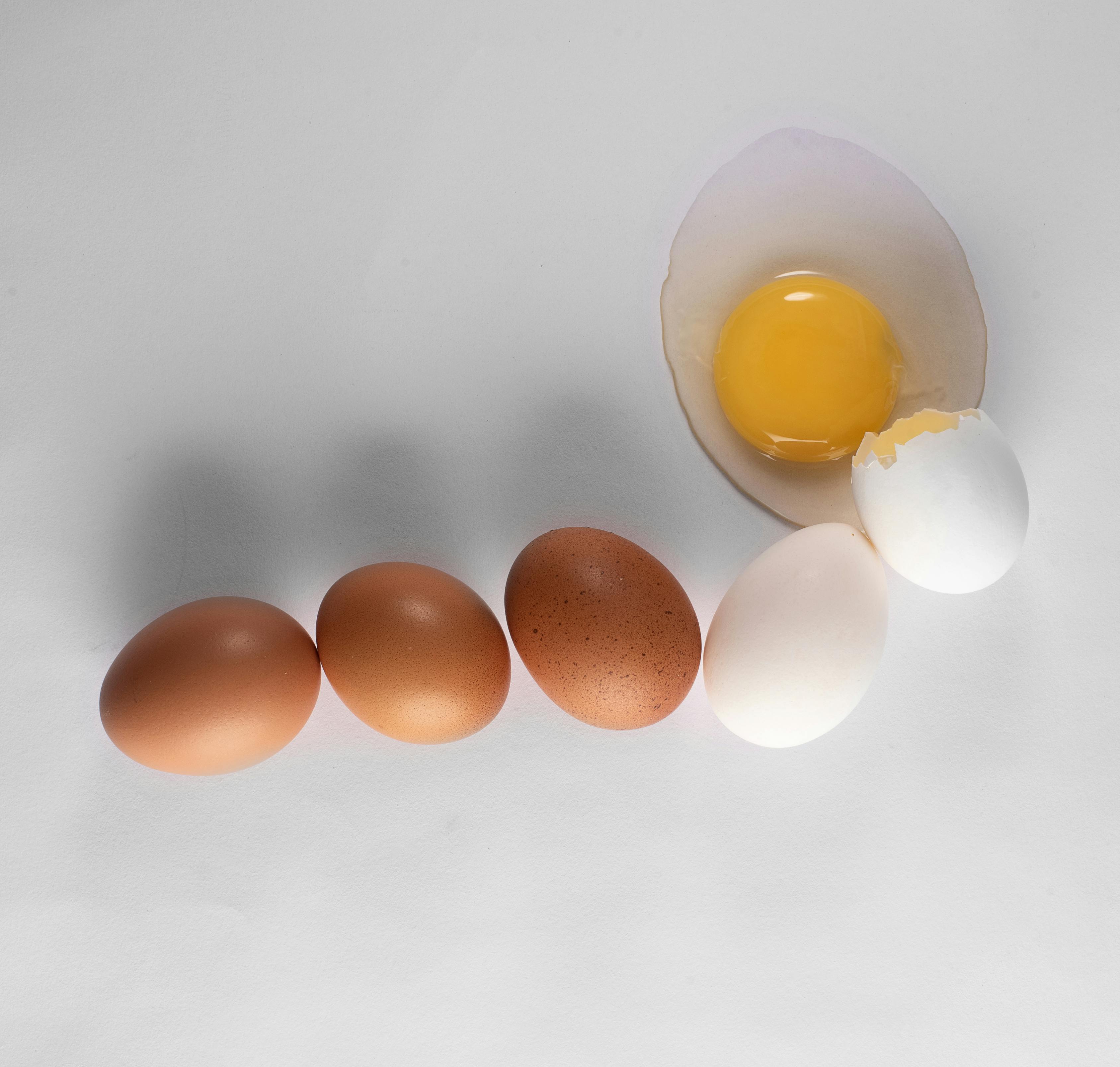 proteine œufs image 2