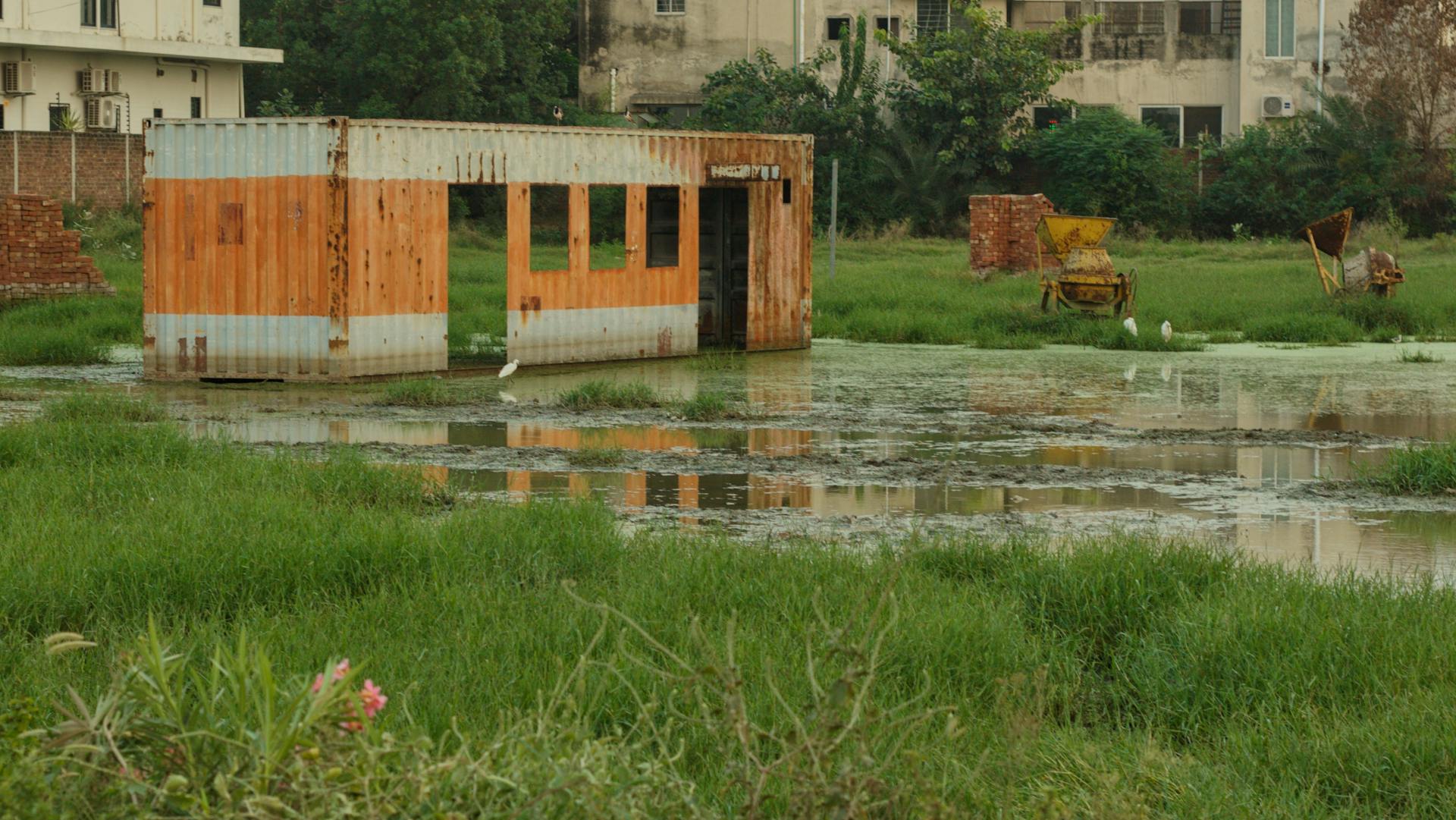 Abandoned shipping container surrounded by greenery and water in a lush field.