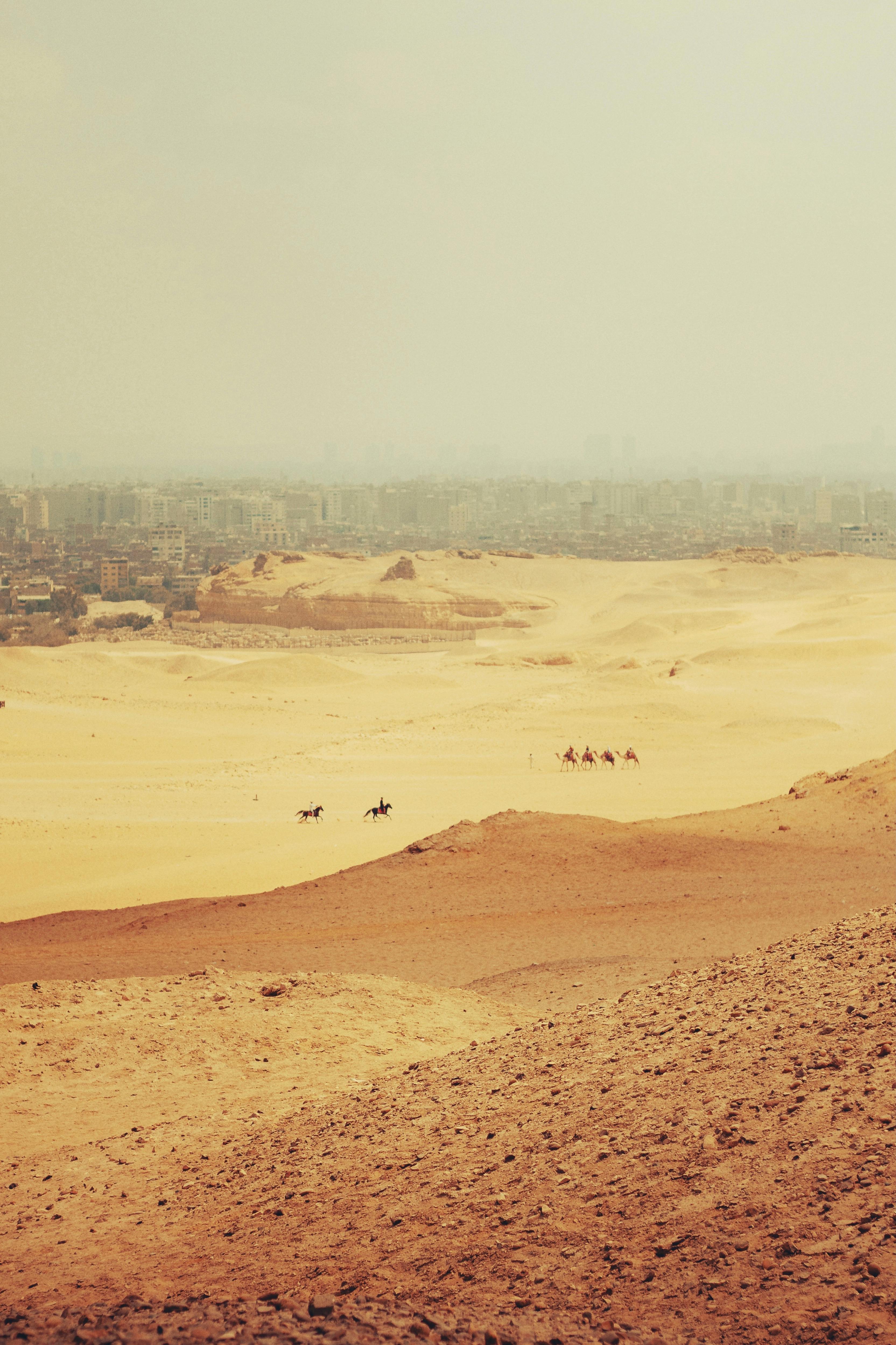 A view of camels crossing the desert with Cairo city in the background.