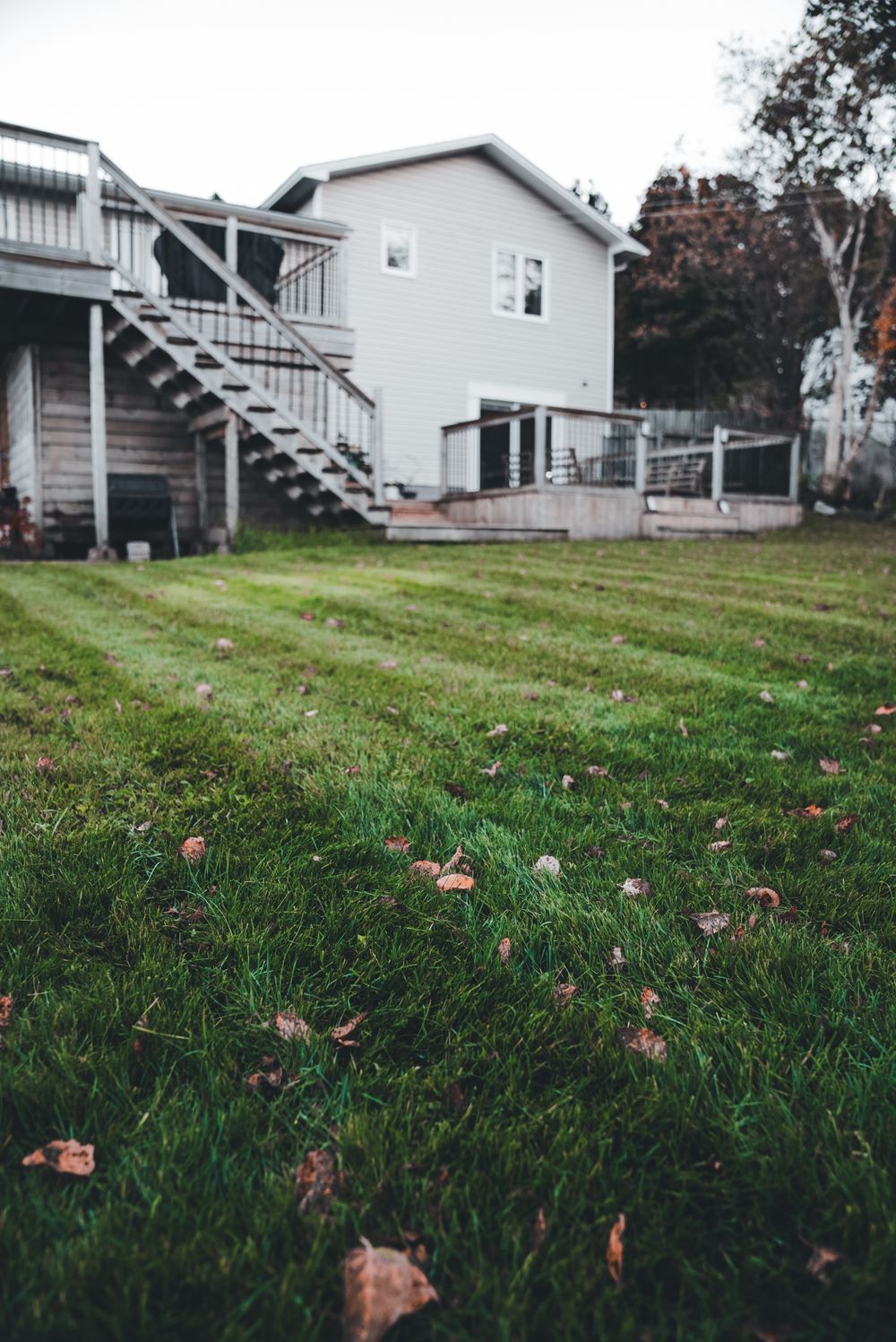 Suburban backyard with a maintained green lawn and deck