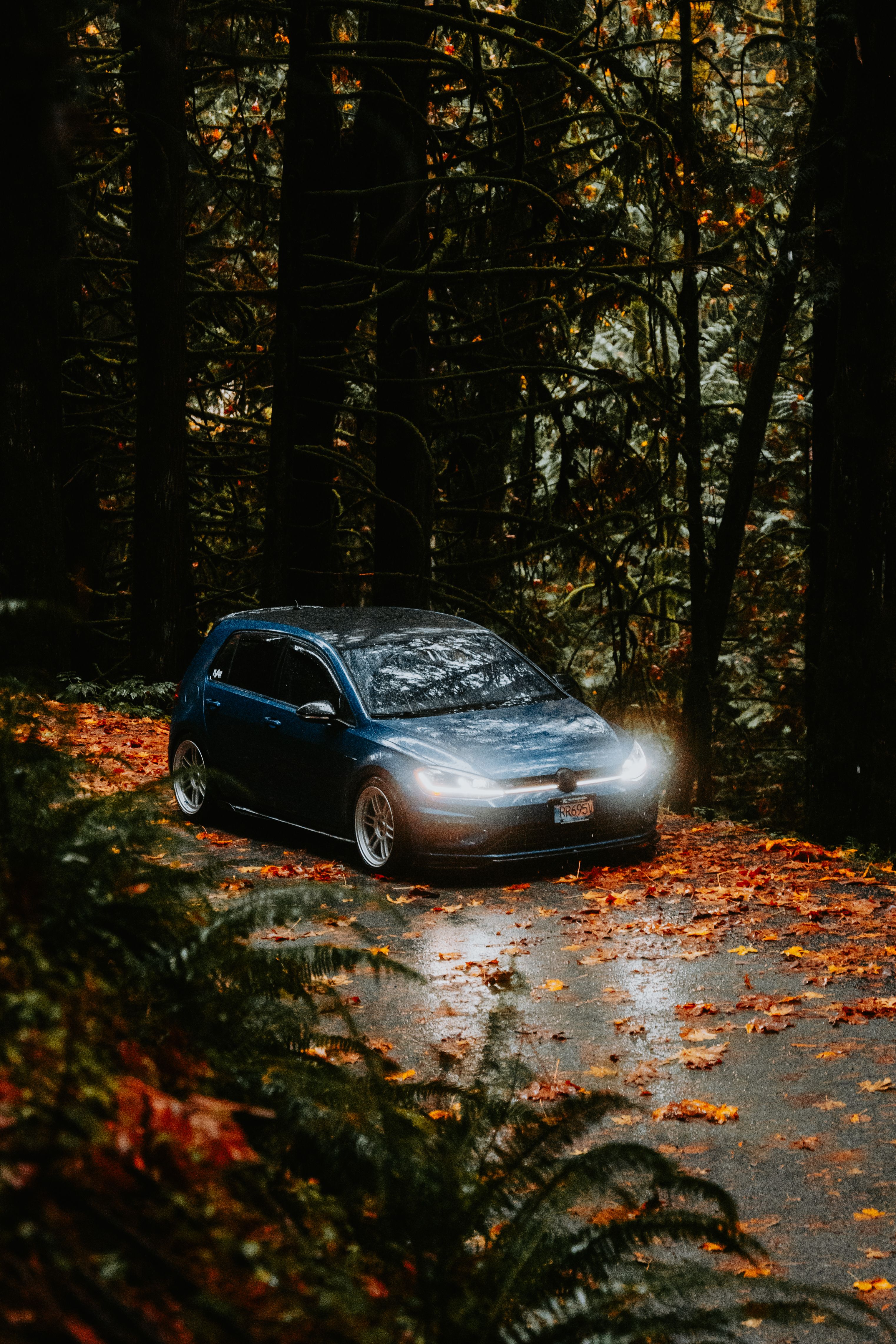 Car Driving Through Autumn Forest Road · Free Stock Photo