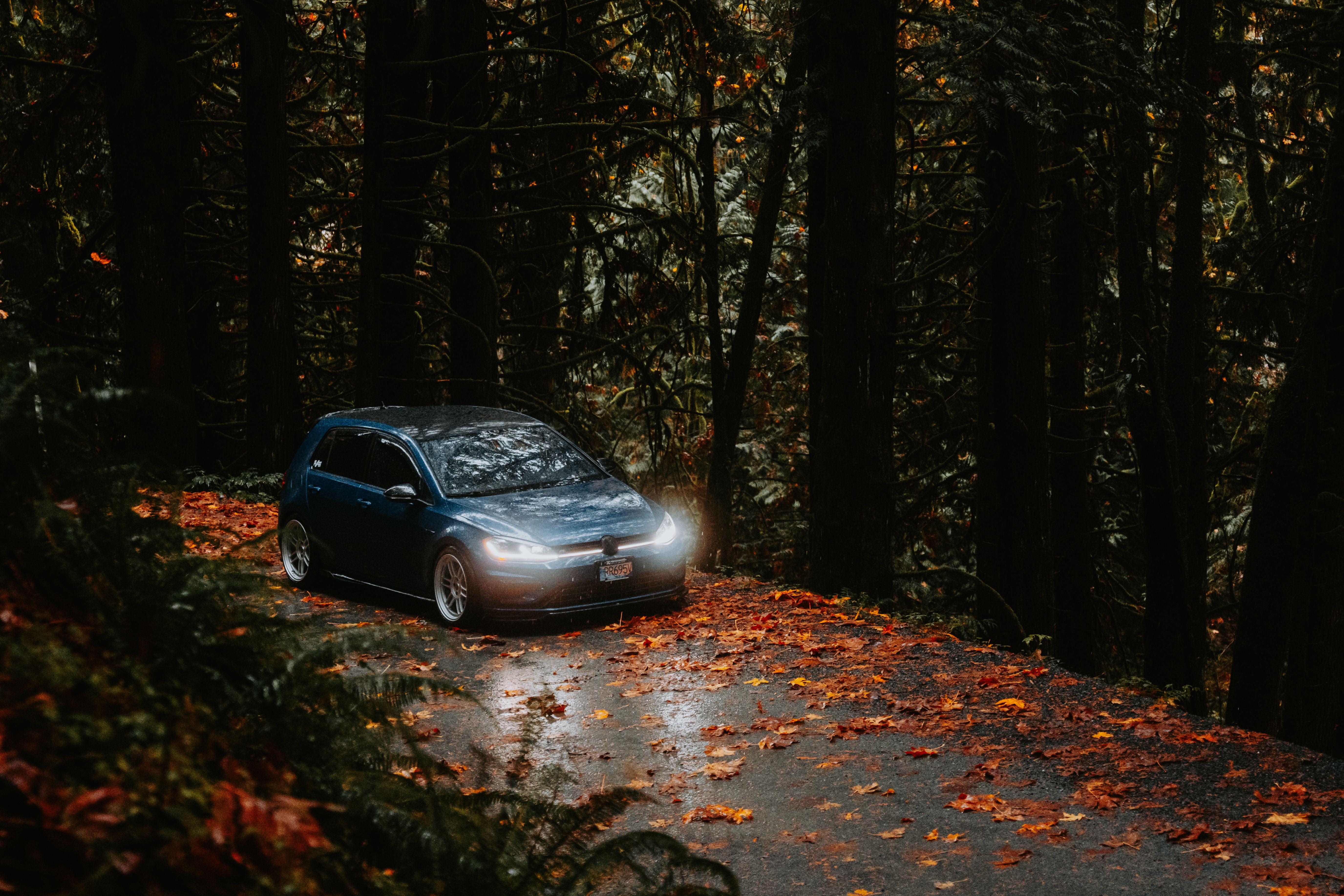 Car with headlights on in autumn forest road · Free Stock Photo