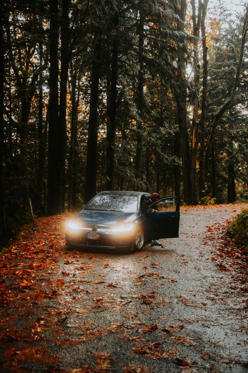 Free A car parked on a rainy autumn day in a dense forest with wet leaves. Stock Photo