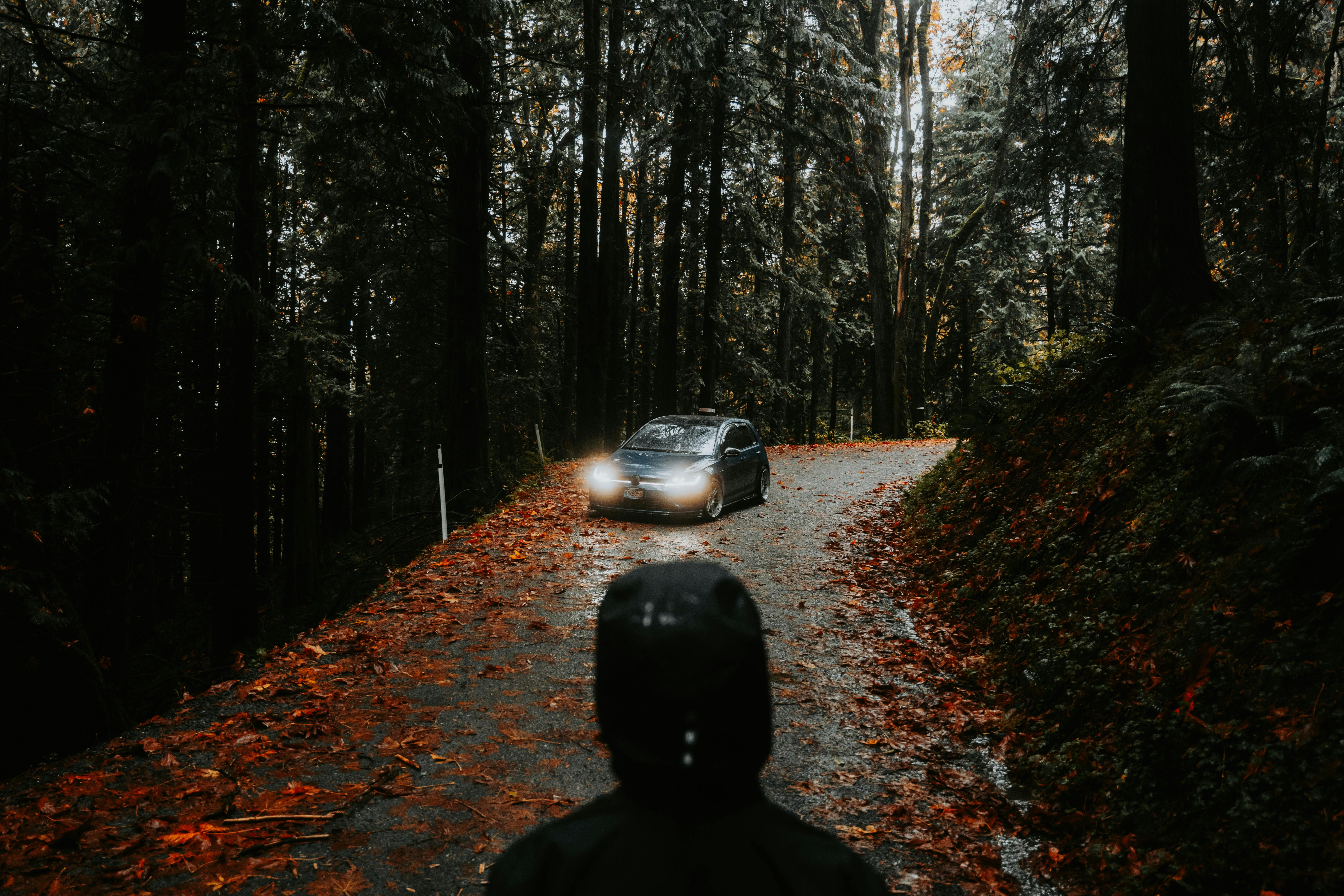 Toyota Recalls Prius Over Rear Doors That Can Open While Driving — Photo by Luke Miller on Pexels