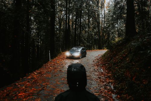 Free A vehicle navigates a damp, leaf-covered road in a dense autumn forest with illuminating headlights. Stock Photo