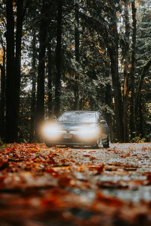 Free Car with headlights on driving through a forest road covered in autumn leaves. Stock Photo