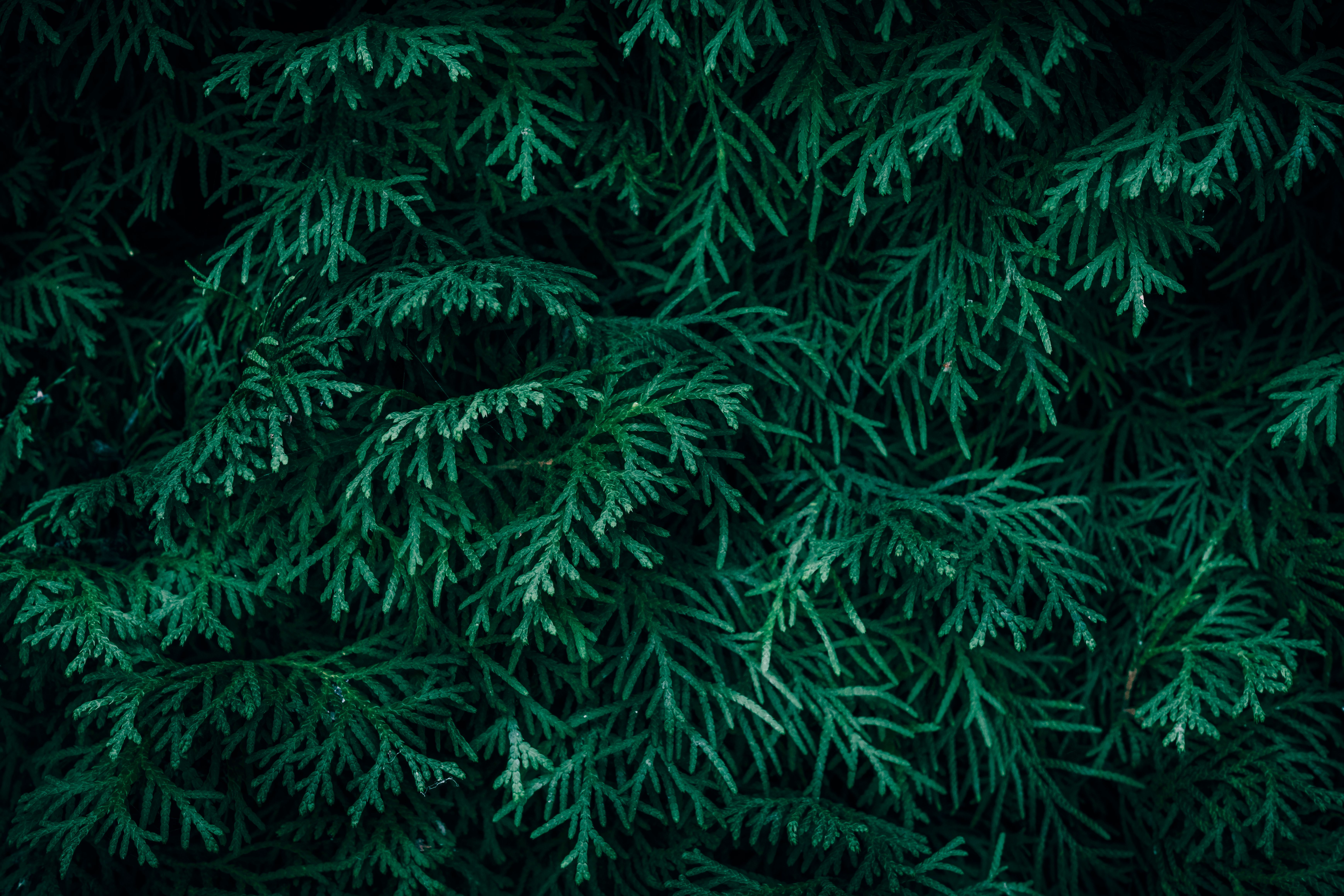 Evergreen Nephrology Posts Strong CMS Savings While Doubling Down on Patient Education and Physician Ties - TipRanks — Photo 