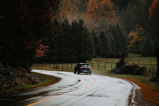 A car navigates a winding wet road through an autumn forest, with vibrant foliage and atmospheric scene.