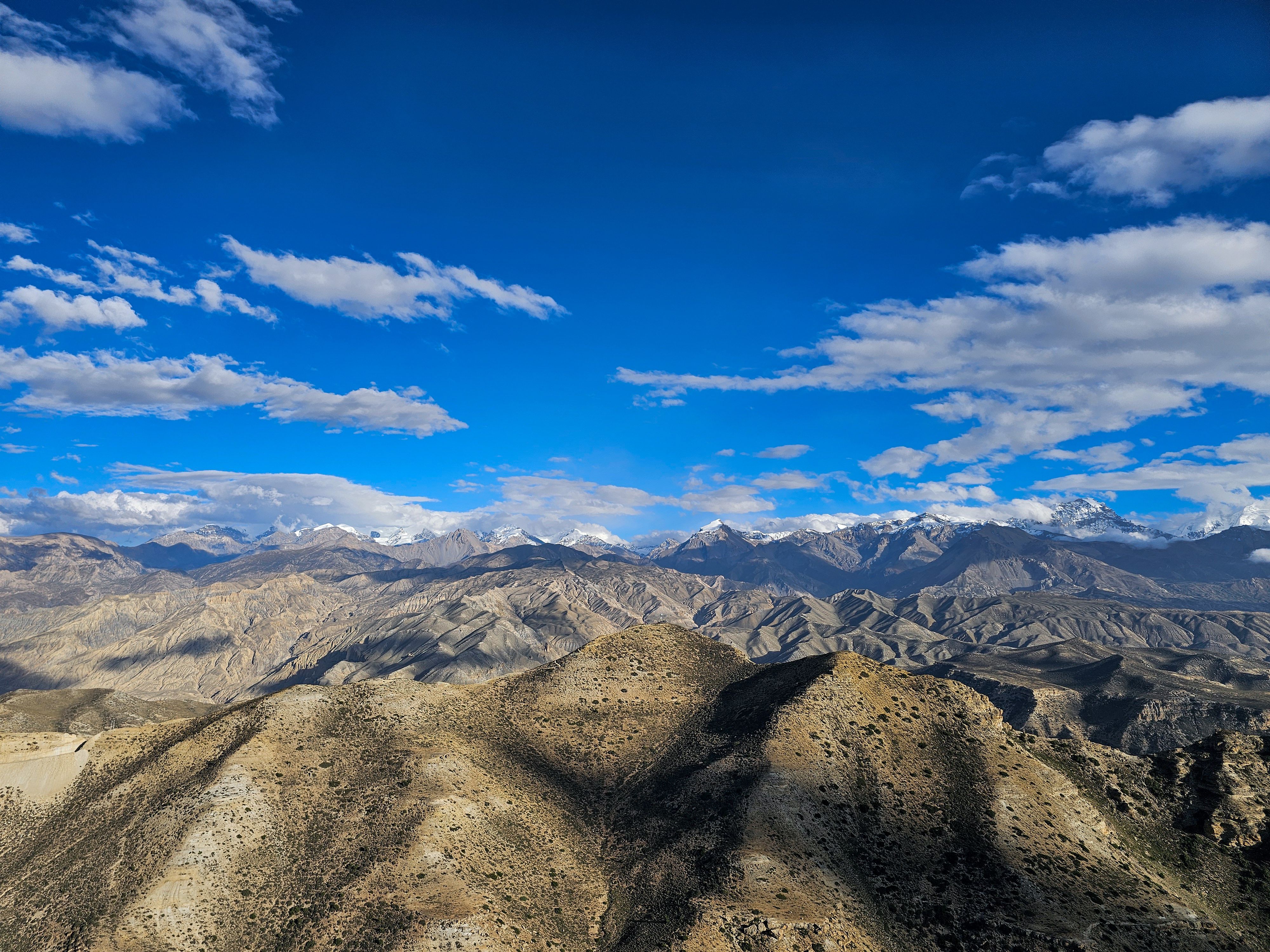 Mustang Trail