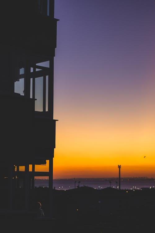 Free stock photo of balcony, human, looking