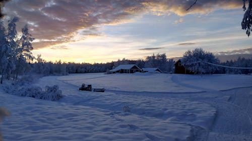 Selektive Fokusfotografie Des Hauses, Das Schnee Und Bäume Umgibt