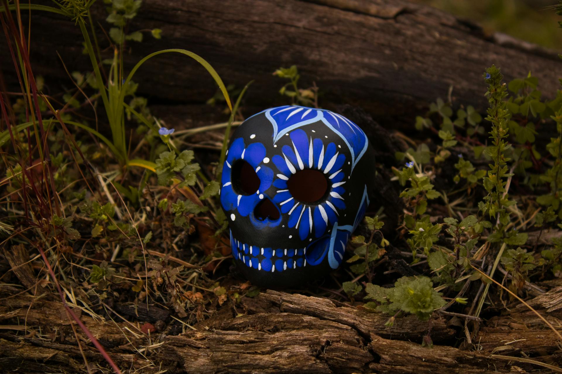 Calaverita Mexicana Negra y Azul