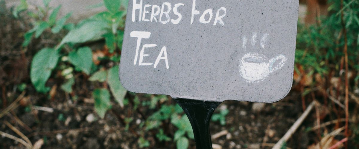 Herb garden
