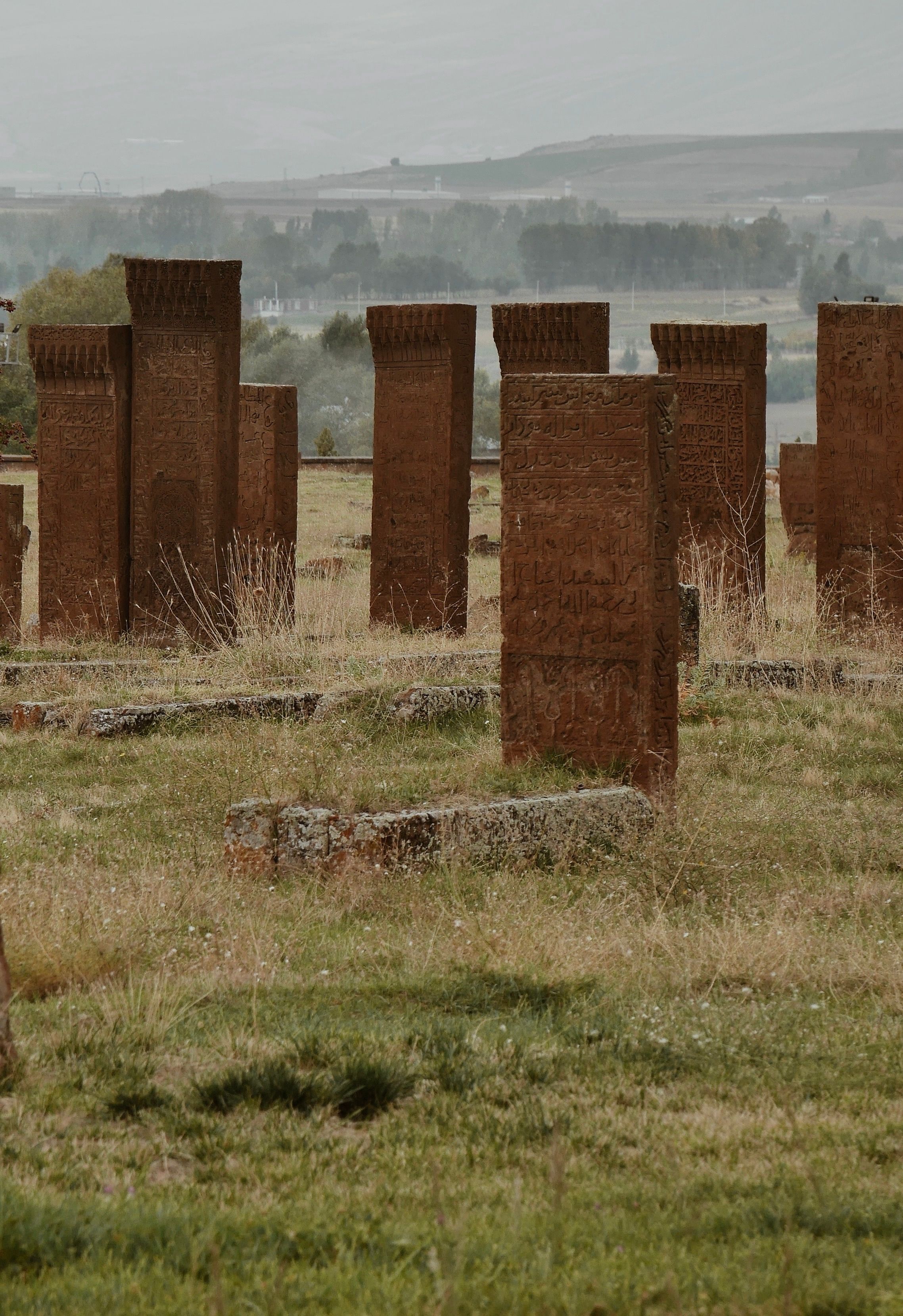 Fotomural Cementerio rústico de piedra con lápidas antiguas en campos verdes y exuberantes.