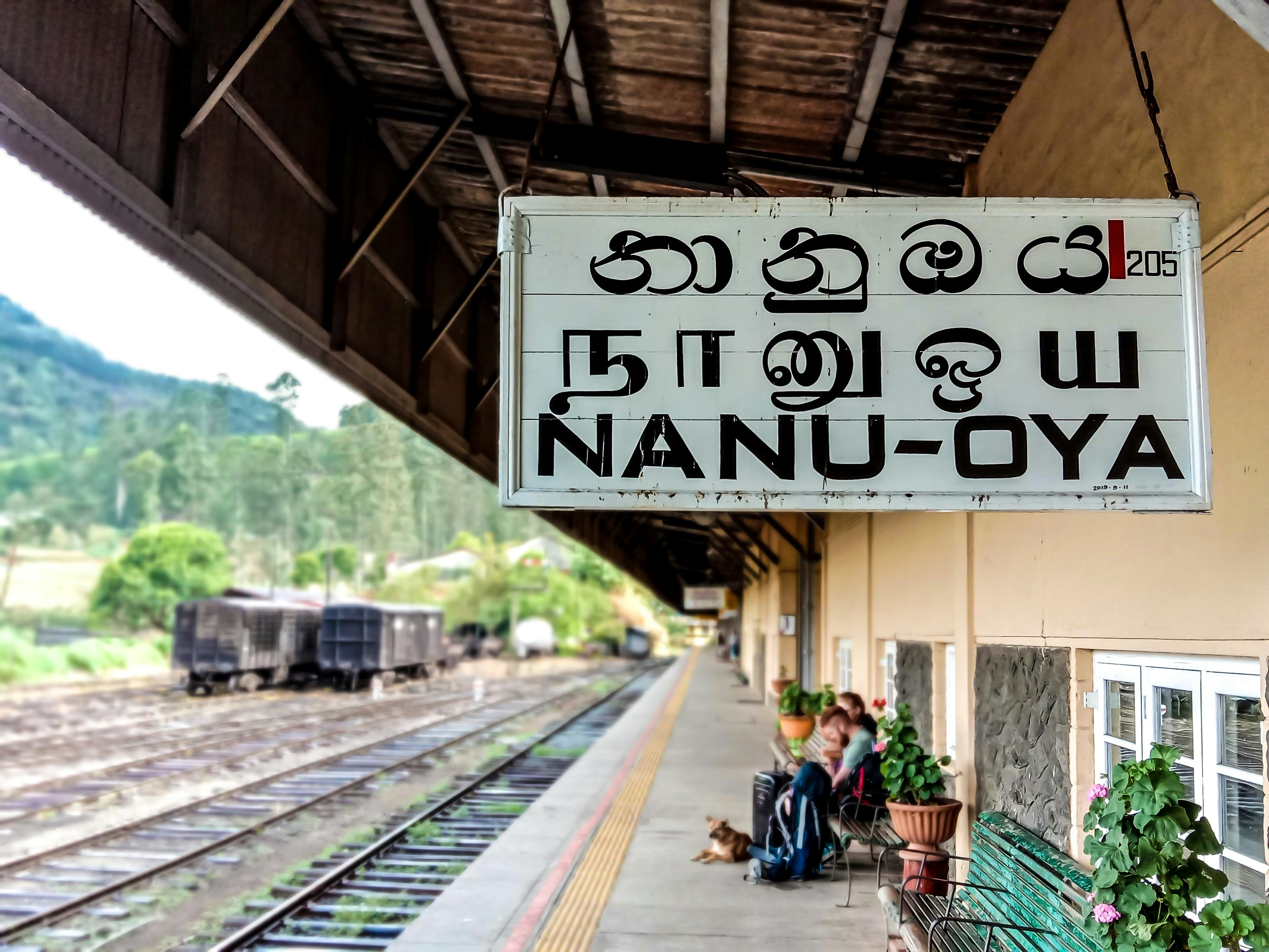 Charming scene of Nanu-Oya station, capturing rustic trains and signage in Sri Lanka.