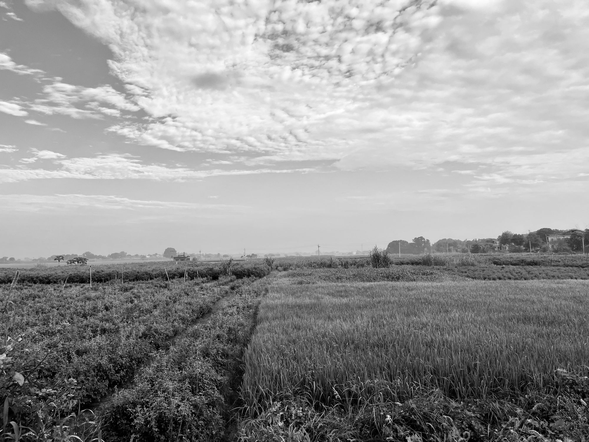 Vast Rural Indian Landscape under Cloudy Sky · Free Stock Photo