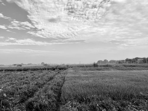 Free Expansive rural landscape in India with cloudy sky, showcasing agricultural fields. Stock Photo