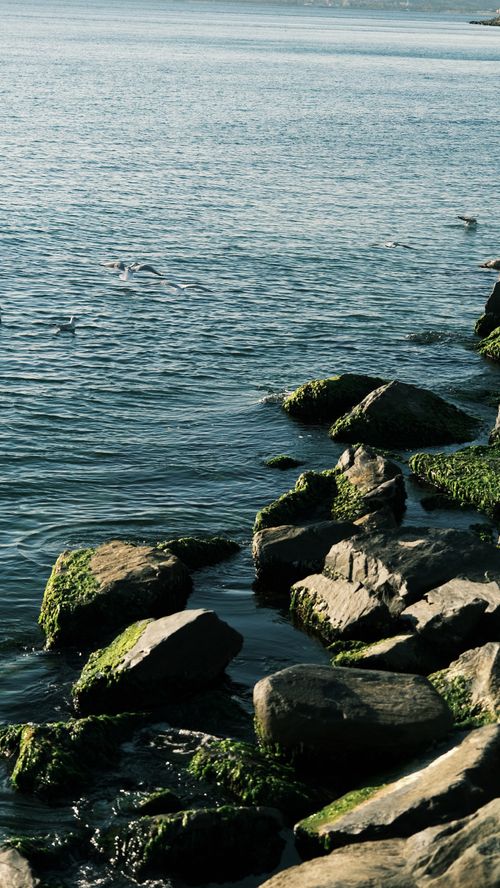Free Serene coastal scene featuring moss-covered rocks and gentle waves. Stock Photo