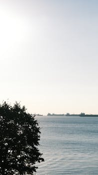 Serene ocean view with distant ships on horizon and foreground tree in soft sunlight.
