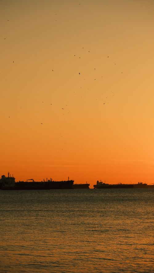Free A tranquil sunset scene over the ocean with silhouettes of cargo ships against an orange sky. Stock Photo