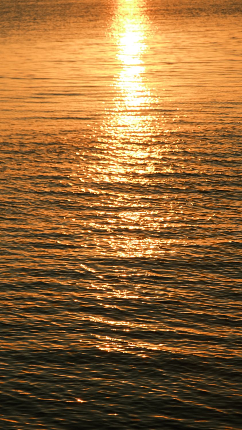 Golden Sunset Reflection on Tranquil Water · Free Stock Photo