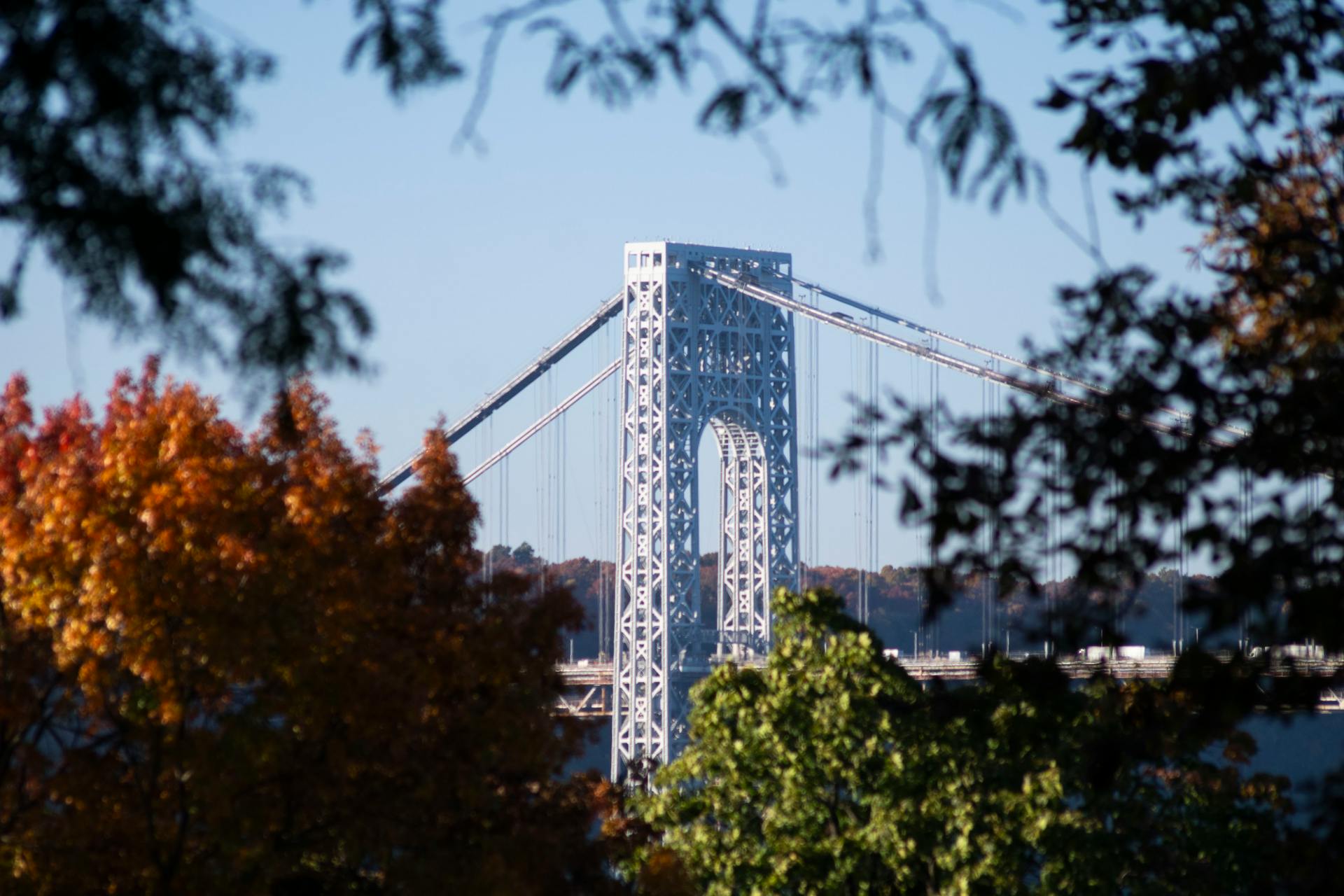 View of the George Washington Bridge framed by vibrant autumn leaves, showcasing architectural marvel in fall season.