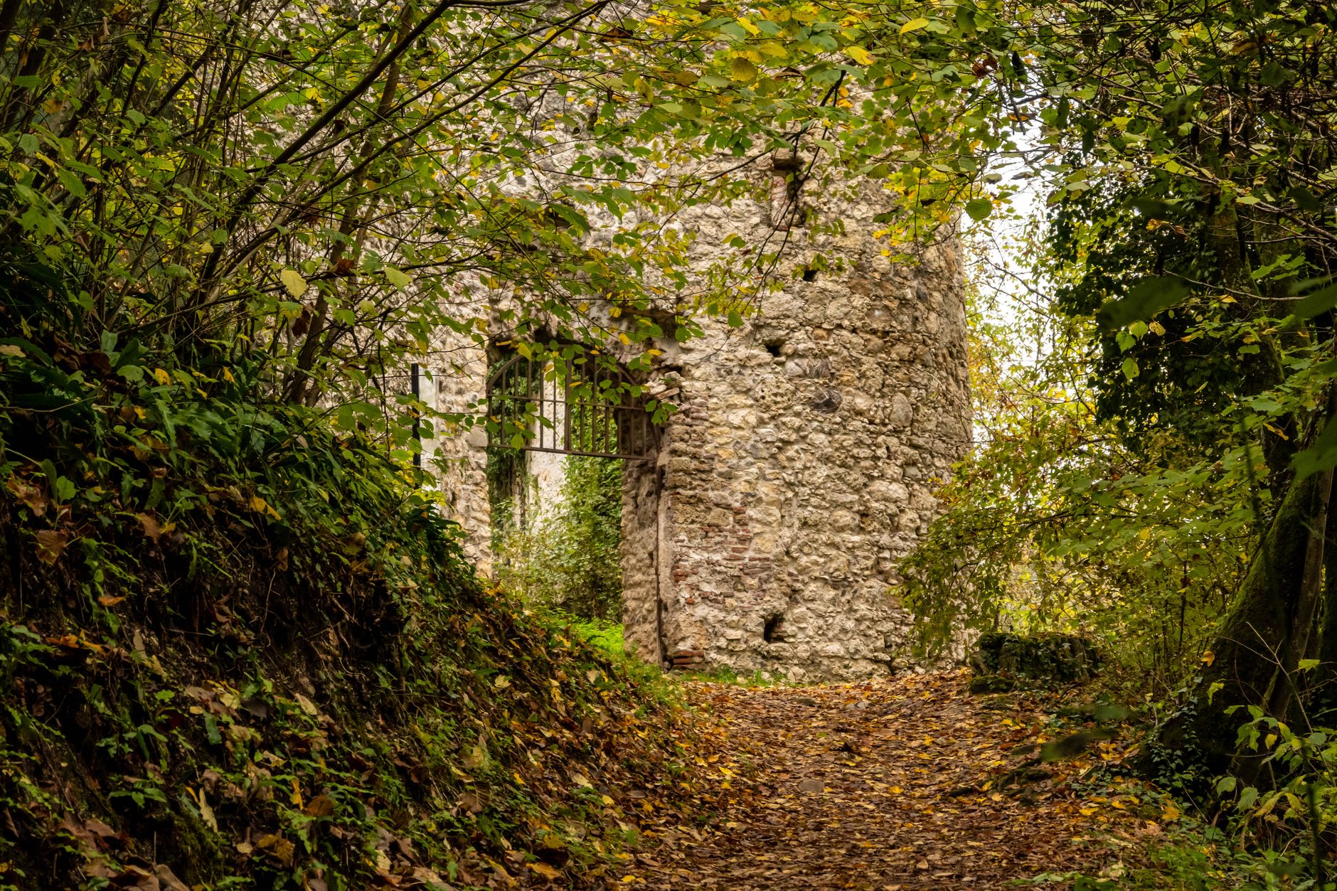 Explore the mystery of an old stone tower nestled in Samobor's autumn woods.