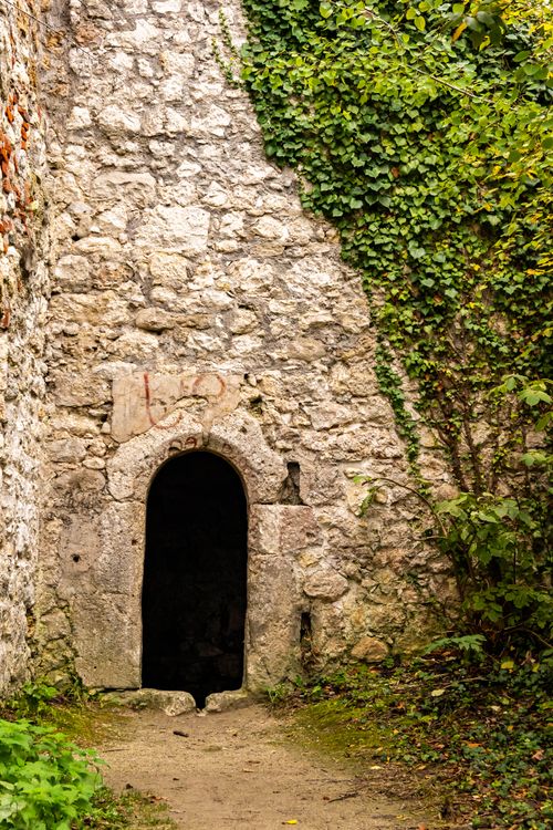 Free An ancient stone archway covered in ivy, located in Samobor, Croatia. Stock Photo