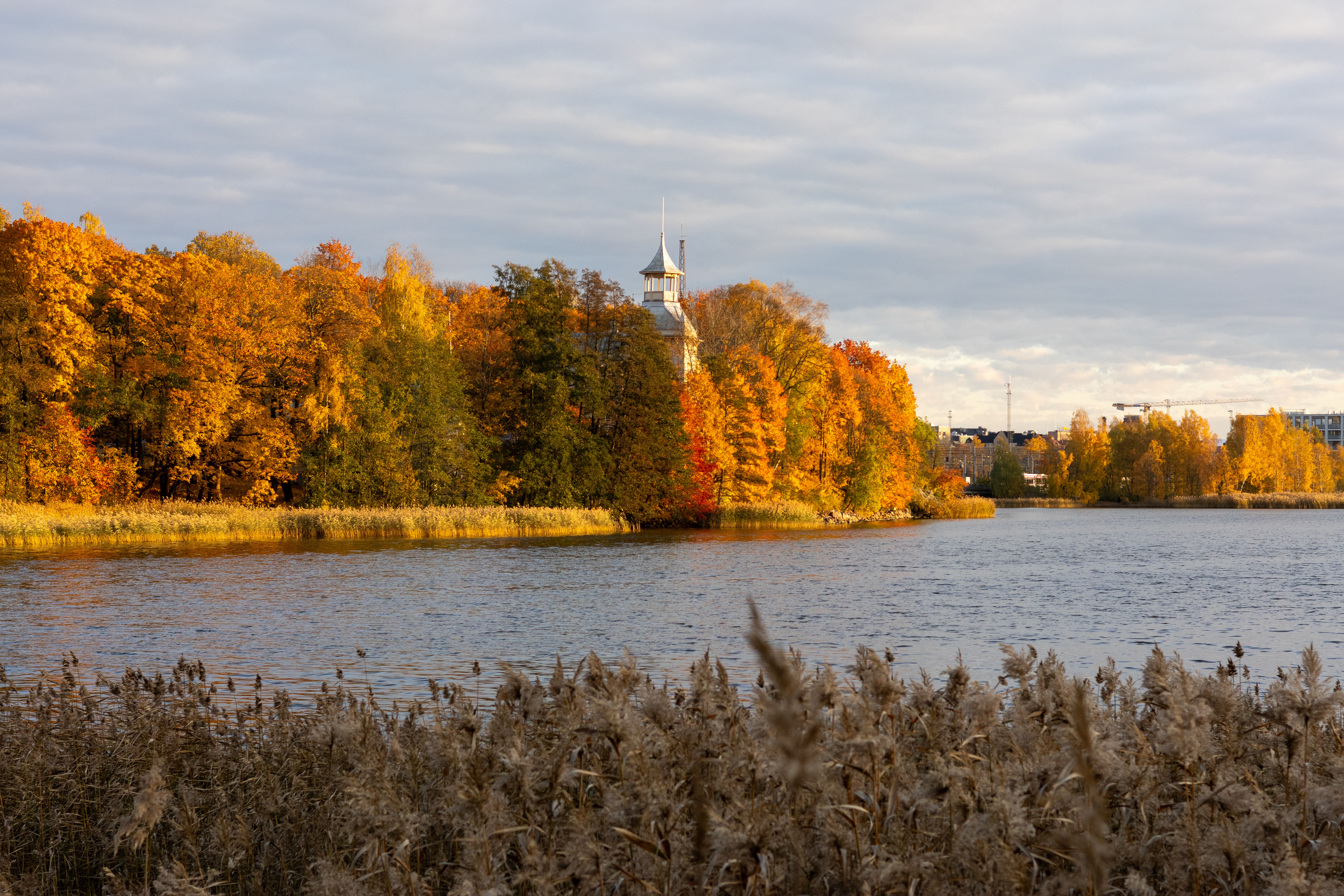 Vibrant autumn ruska foliage in Finnish Lapland