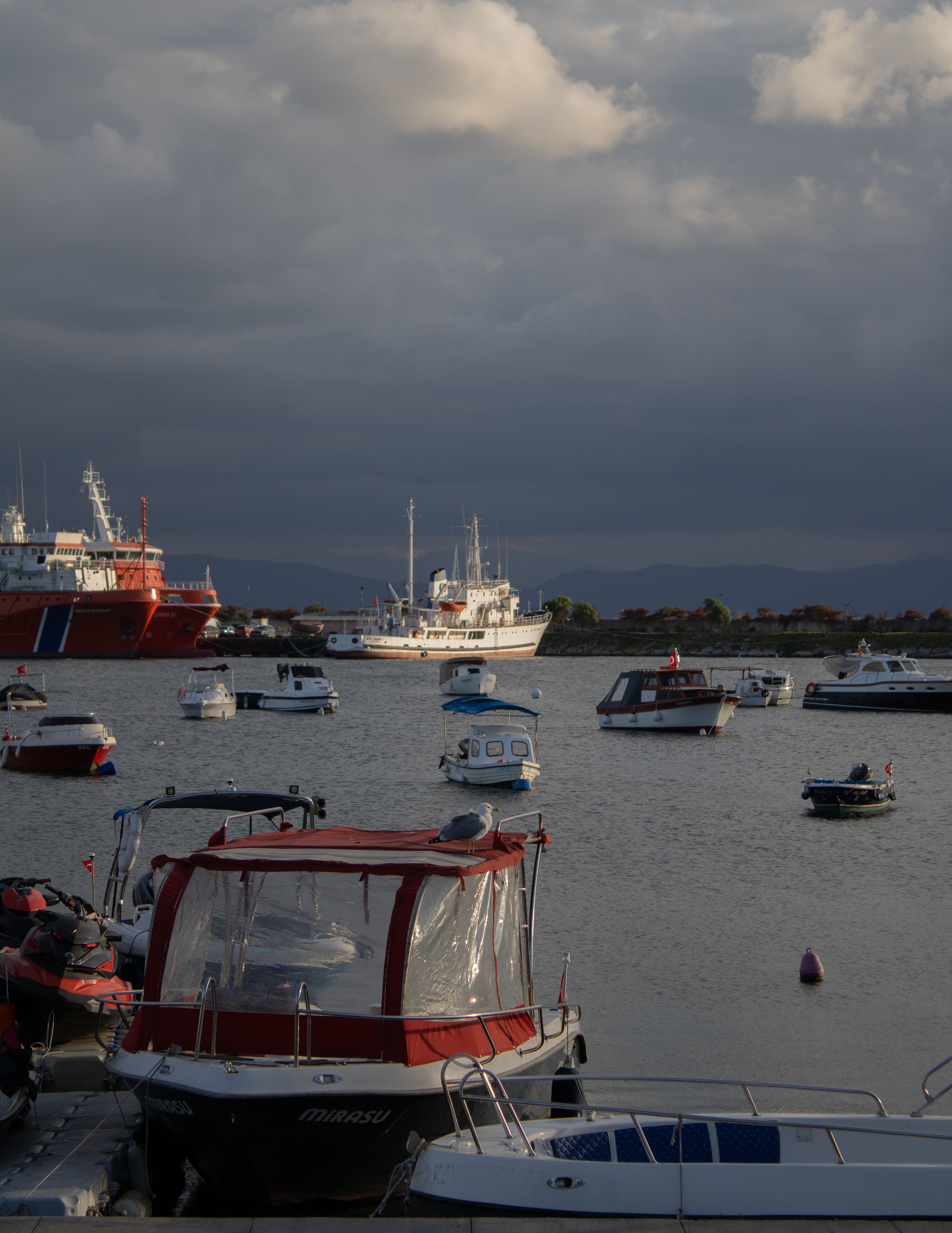 Vibrant Boats Docked at Istanbul Harbor · Free Stock Photo