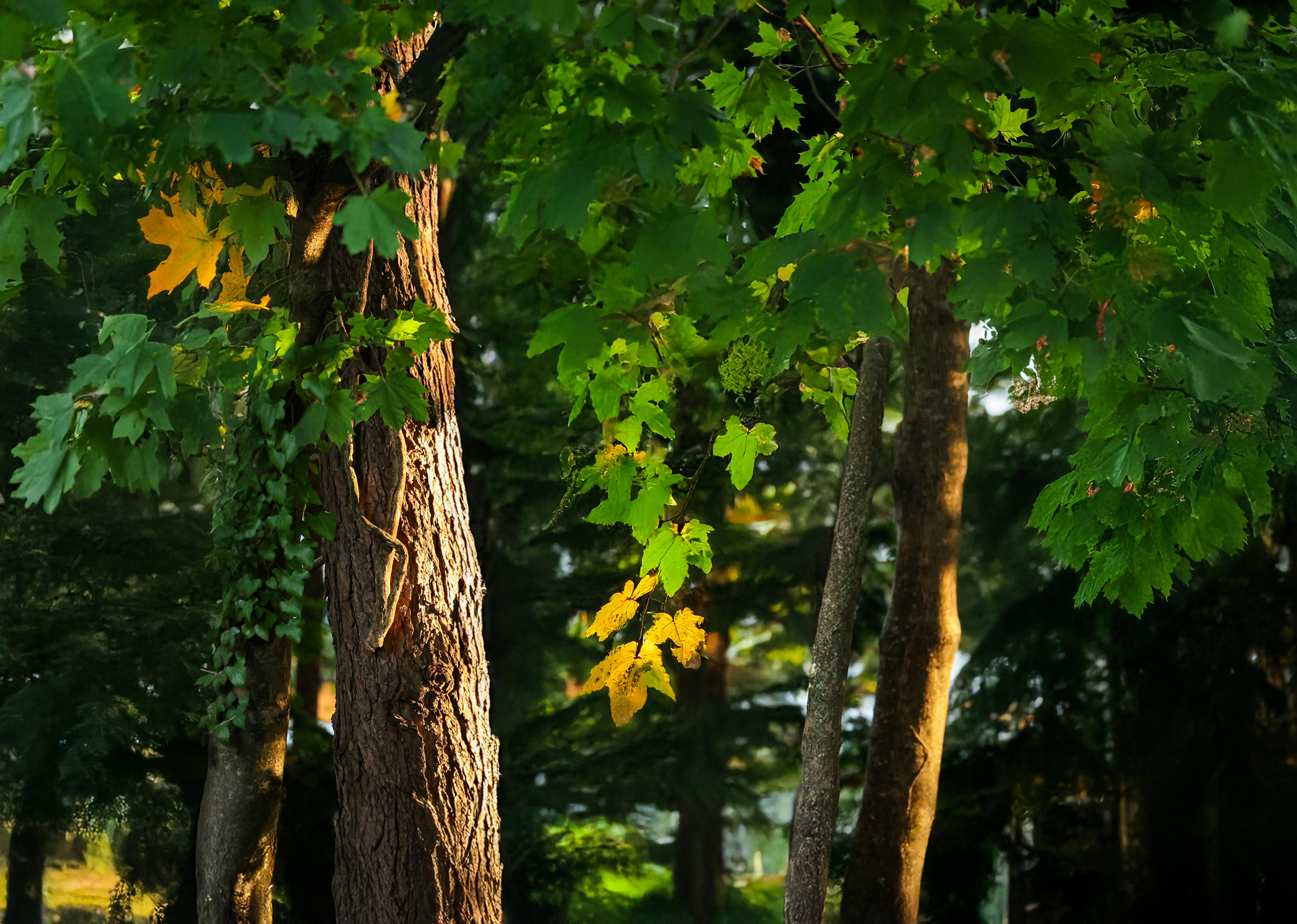 Image related to CT Paid Leave Law: Progress for Moms, But Gaps Rem