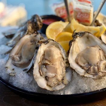 Oysters