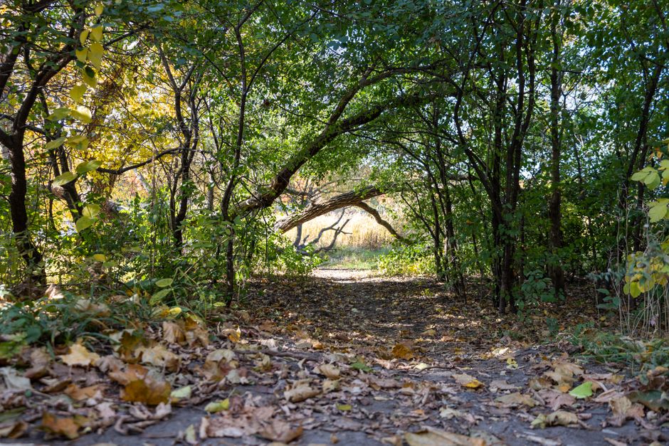 Ottawa Police Investigate Sexual Assault on East End Pathway