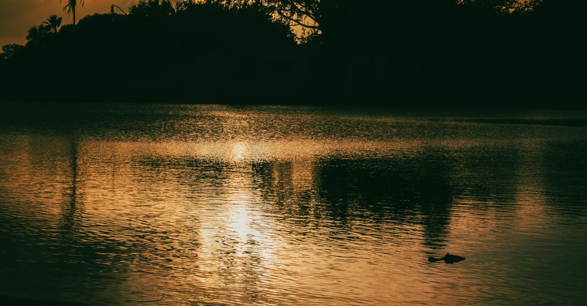 Tranquil sunset at a lake in Kissimmee, FL with reflections and silhouettes.