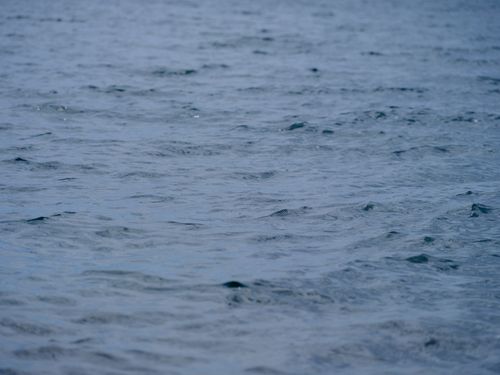 Free Calm ocean waves creating a peaceful and tranquil seascape view. Stock Photo