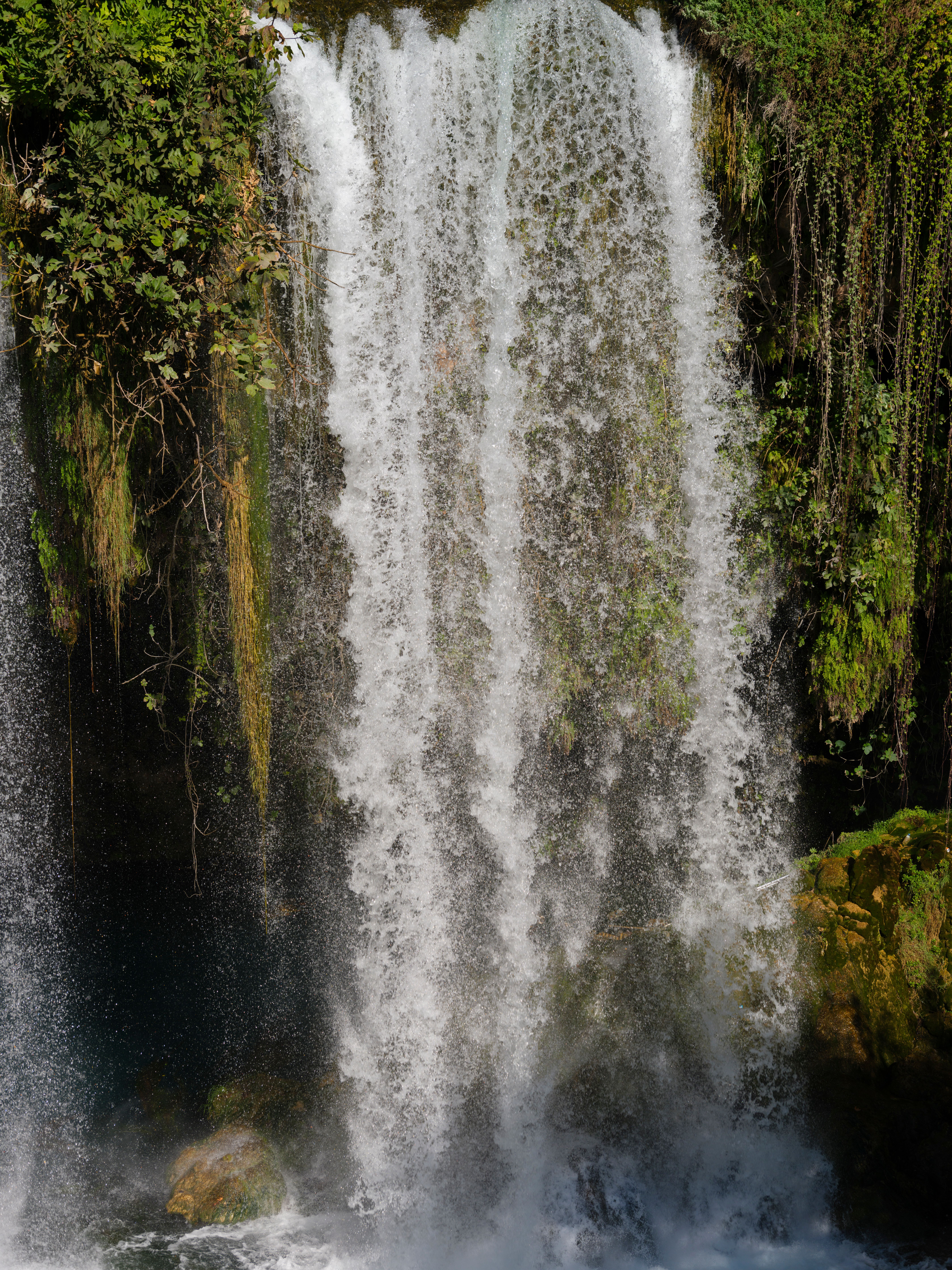 Stunning Waterfall Surrounded by Lush Greenery · Free Stock Photo
