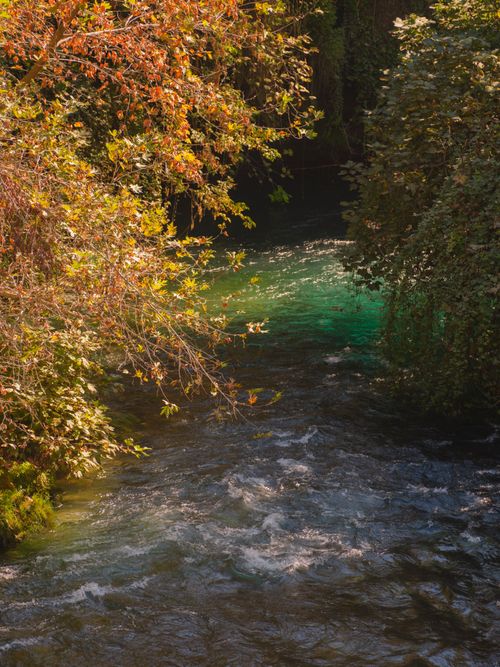 Free Beautiful autumn stream with colorful leaves in a tranquil forest setting. Stock Photo