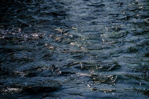 Free A peaceful view of water with sunlight creating shimmering ripples on the surface. Stock Photo