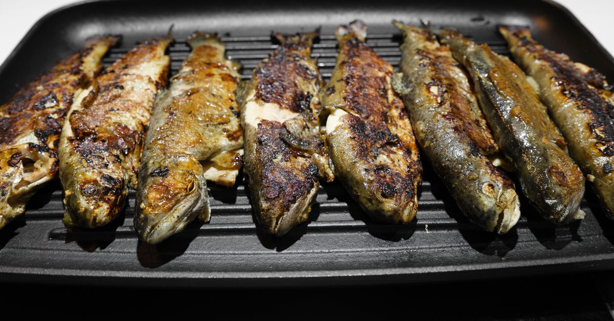 7 Recettes de Poisson à la Plancha pour Épater vos Invités