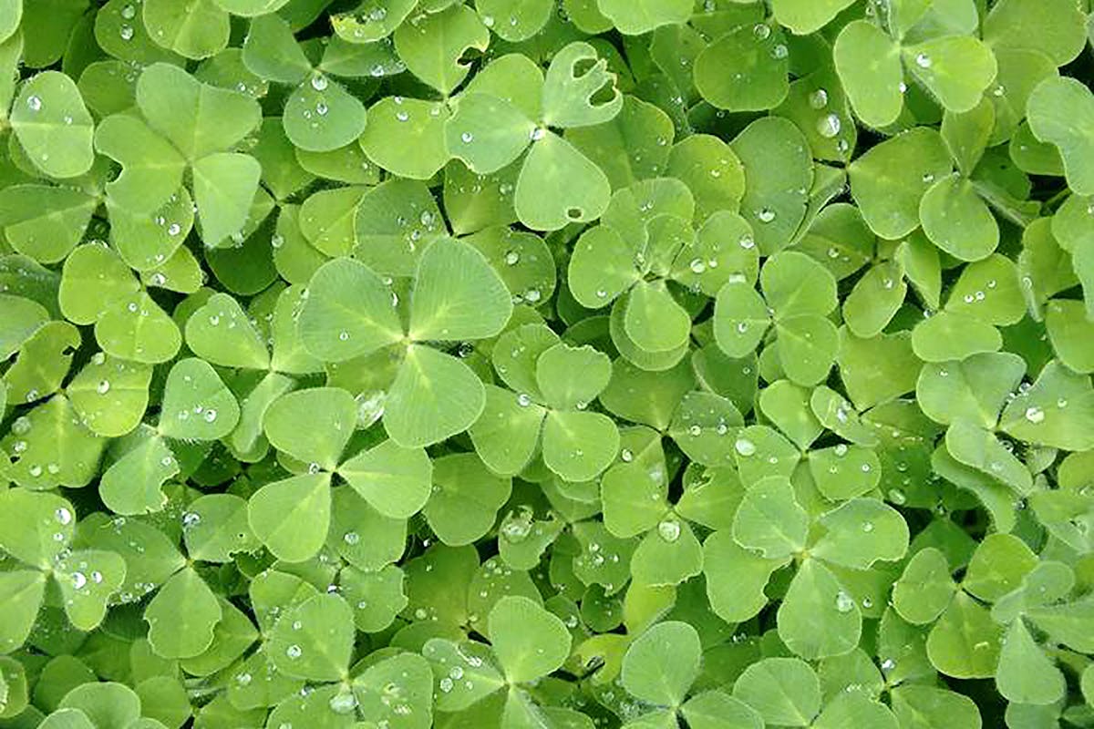 藍箭航太挑戰SpaceX:中國可重複使用火箭技術如何重塑2025全球太空市場? 藍箭航太挑戰SpaceX:中國可重複使用火箭技術如何重塑2025全球太空市場?