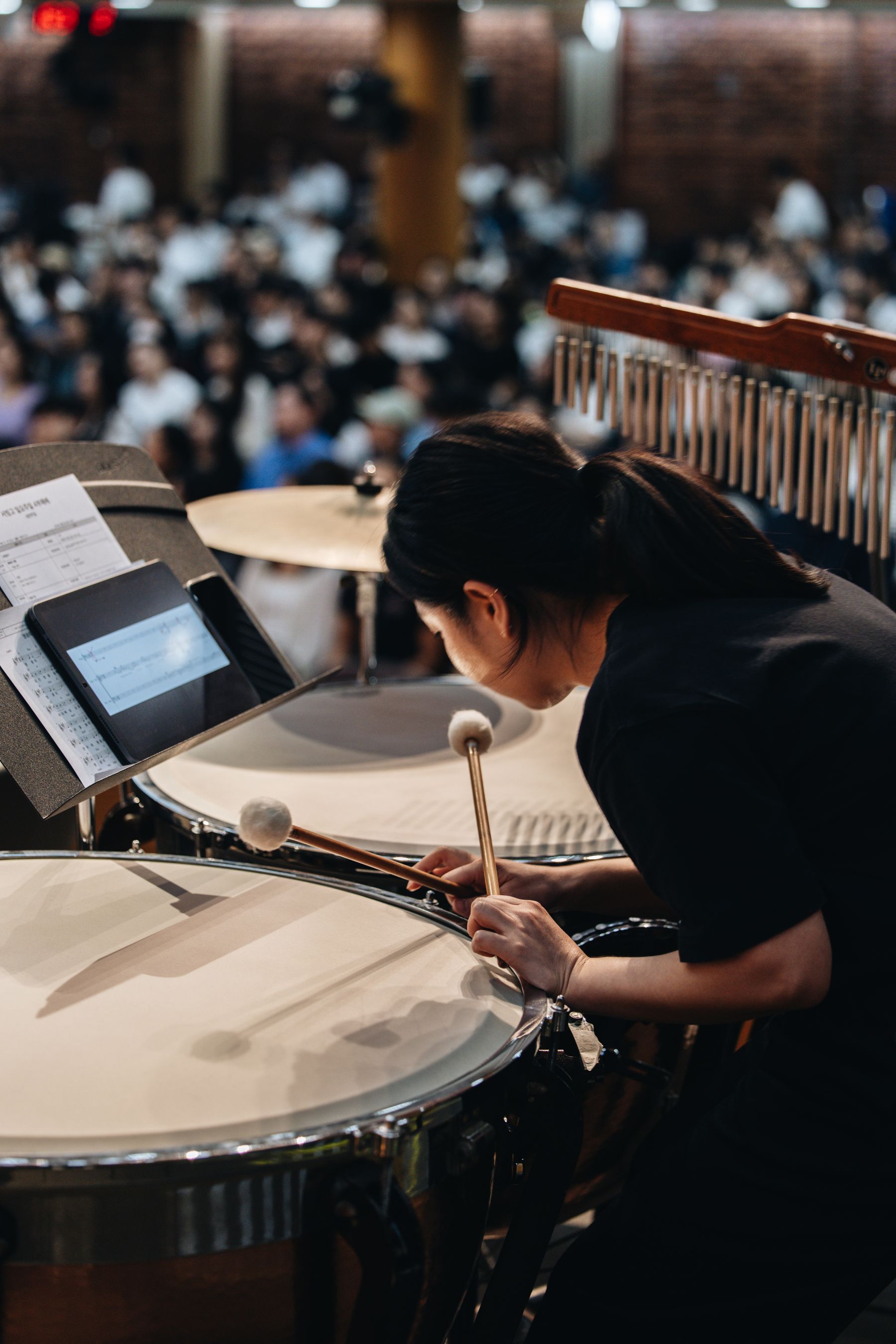 Timbales para backline de orquesta