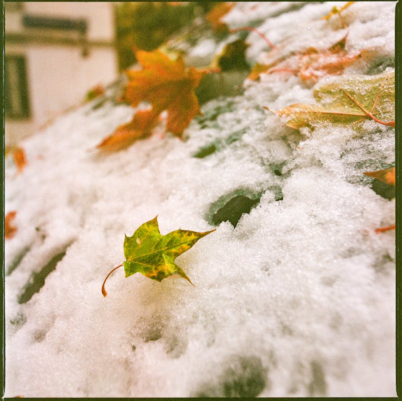 urban preparedness related image: Backup Power Verification apartment urban city generator verification