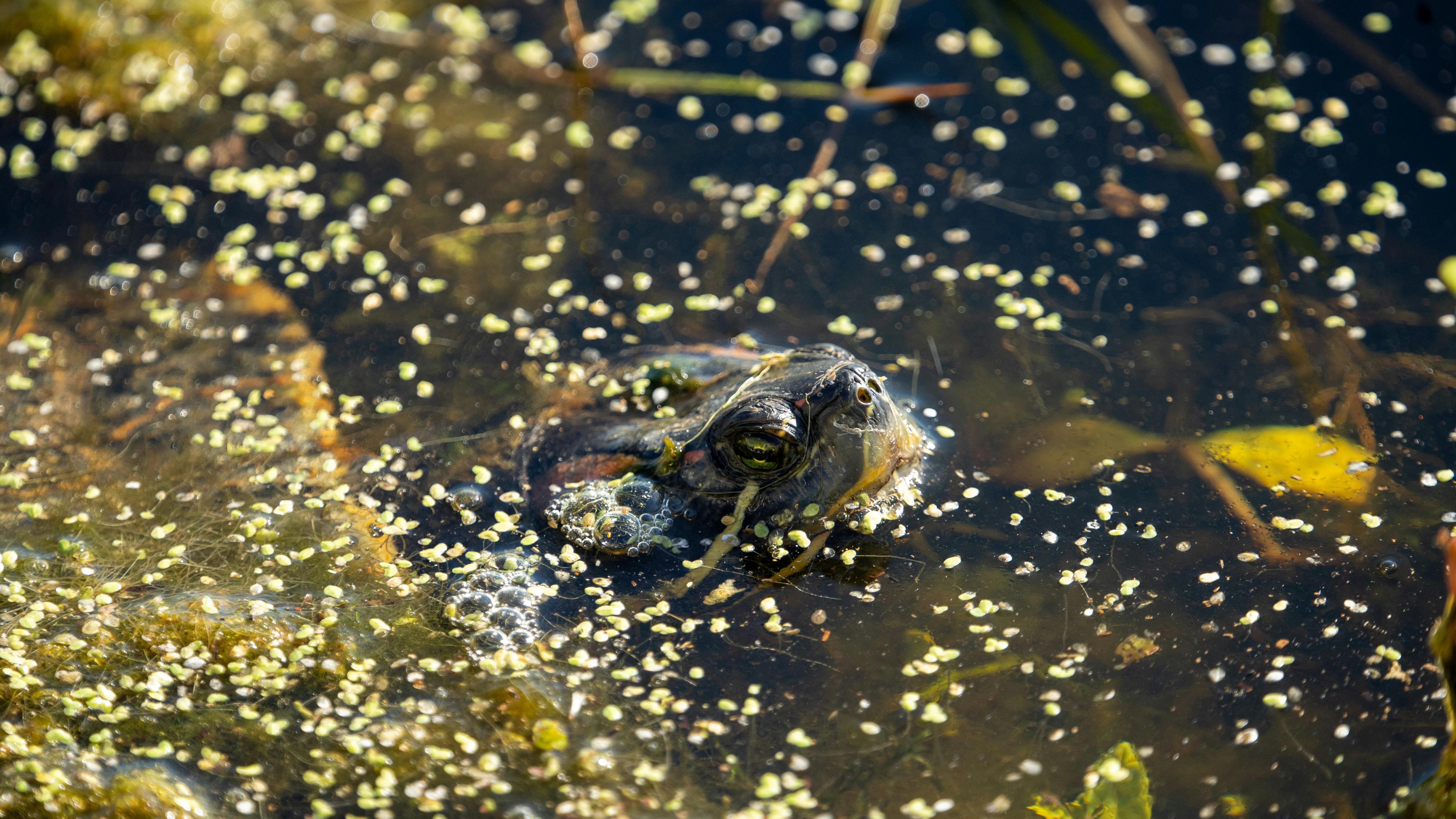 Unveiling the Hidden Truths: What Really Lies Beneath the Surface of a Deadly American Marriage?